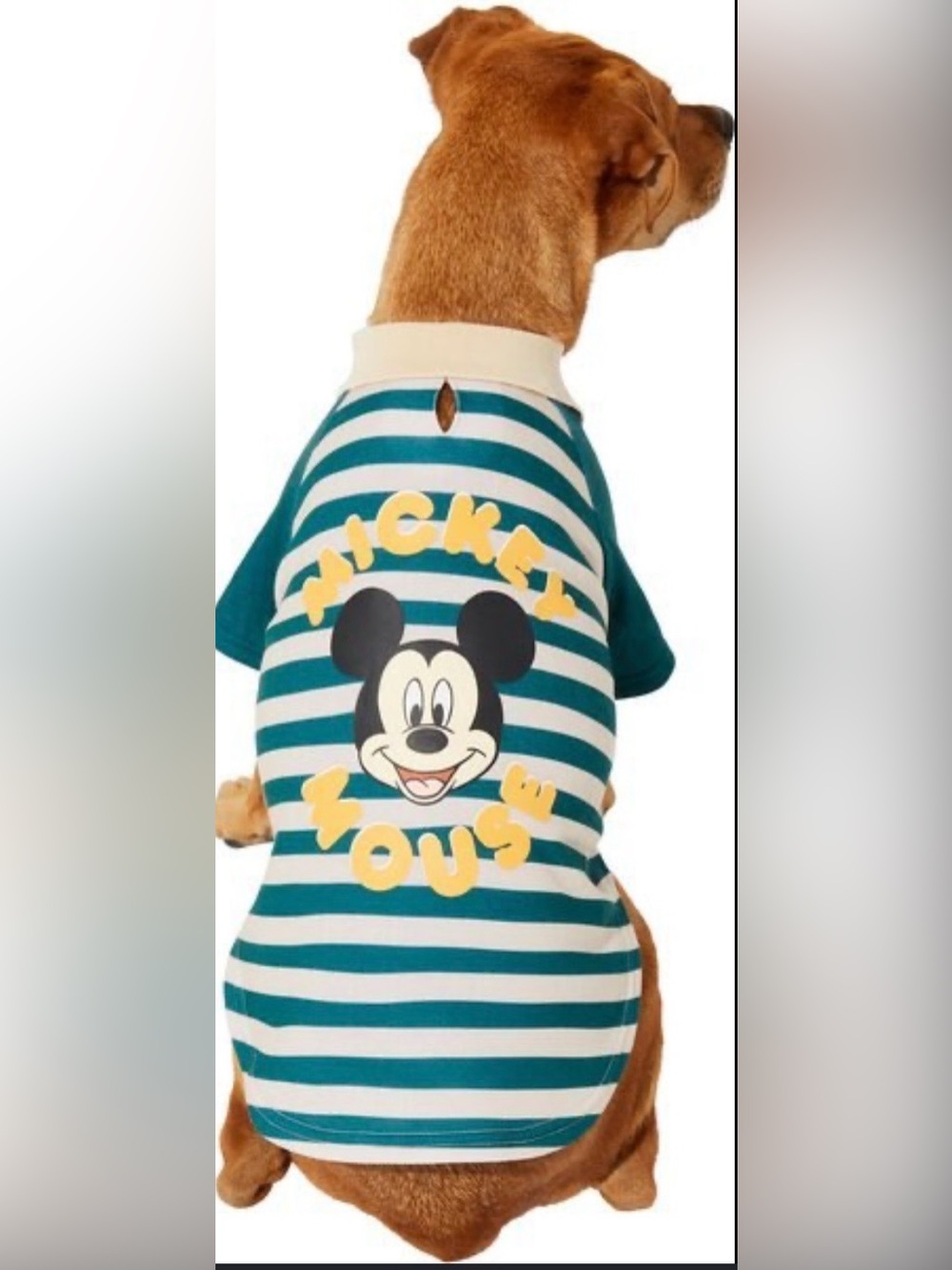 Disney Mickey Mouse rugby jersey